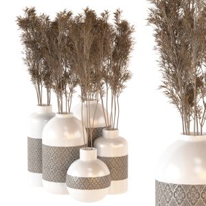 Indoor Plants 03 - Plants Set In Ceramic Pots