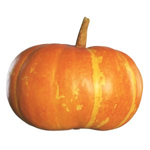 4k Pumpkin