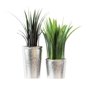 Indoor Plants 10 - Plants In Metal Pots