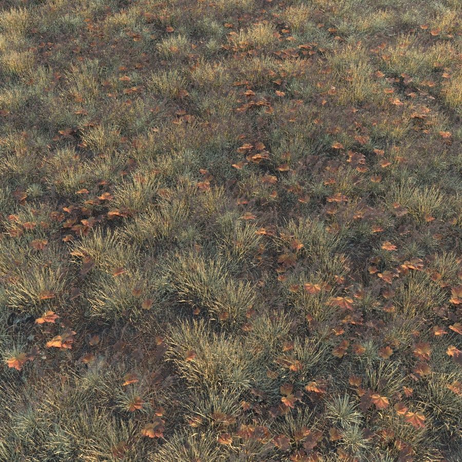 Grass Dry Autumn 3D Model for Corona | CGMood