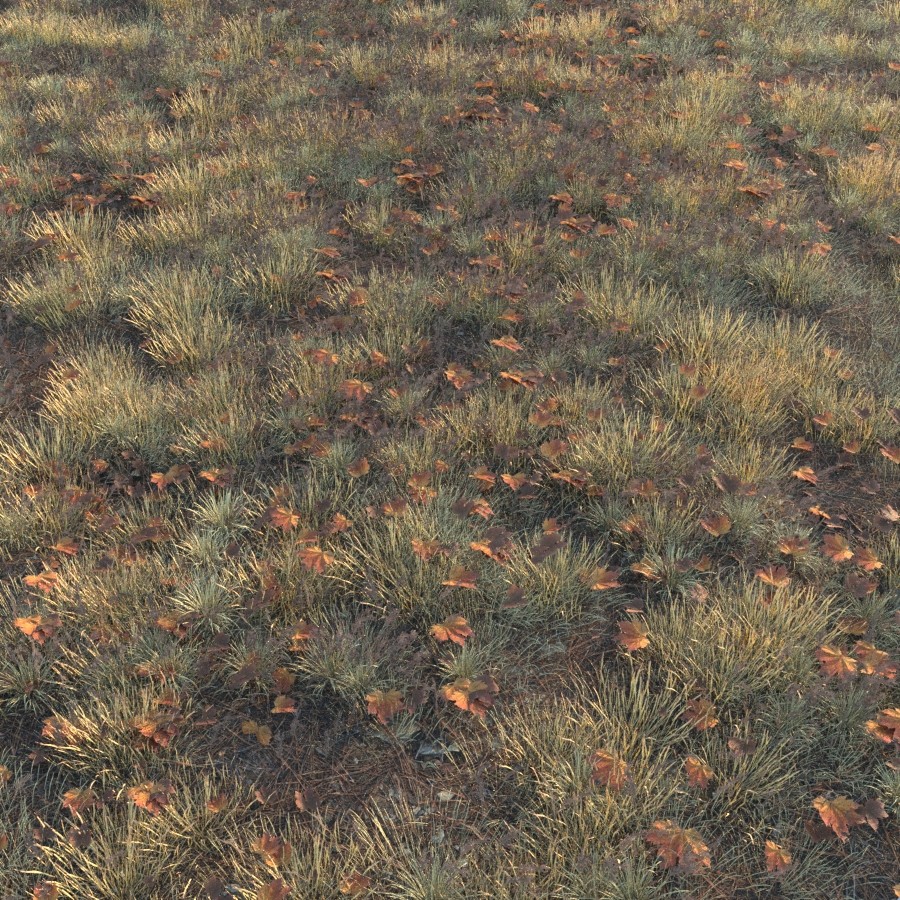 Grass Dry Autumn 3D Model for Corona | CGMood