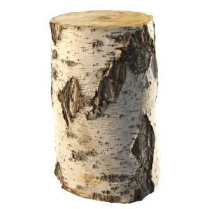 8k Birch Stump