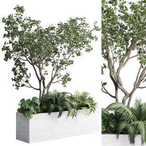 Stand Plant In Box Garden Indoor Plant 130