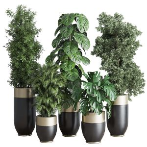 Indoor Plant Set 312 Longhi Godwin Pot Bamboo Mons