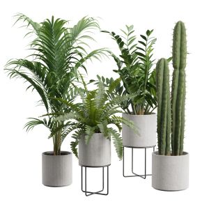 Indoor Plants Pack 56