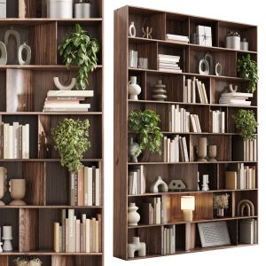 Wooden Shelves Decorative With Plants And Book