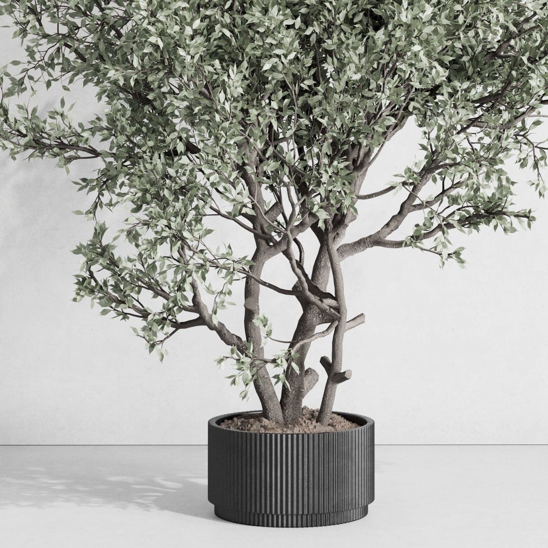 Outdoor Plant 177 Pot Old Olive Tree Metal Old Vas 3D Model for VRay ...