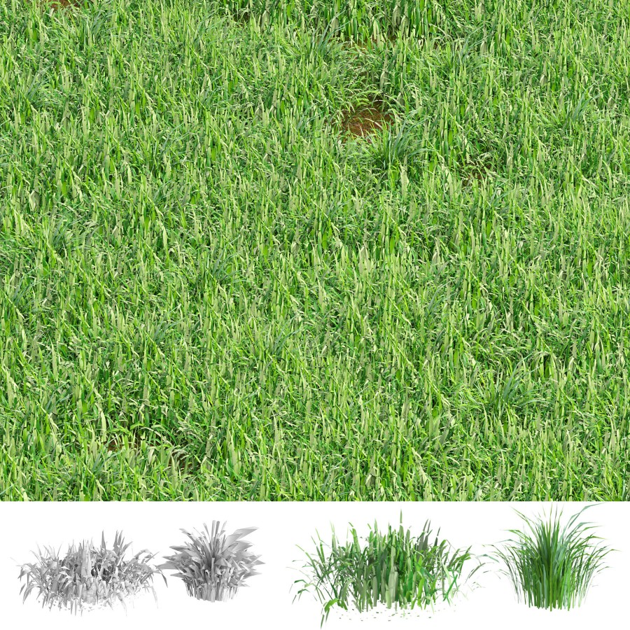 Grass Blades 3d Model - 3D Model for VRay, Corona
