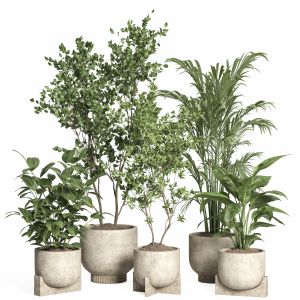 Indoor Plant Set 60-concrete Pot