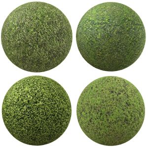 4 seamless moss texture 4096x4096
