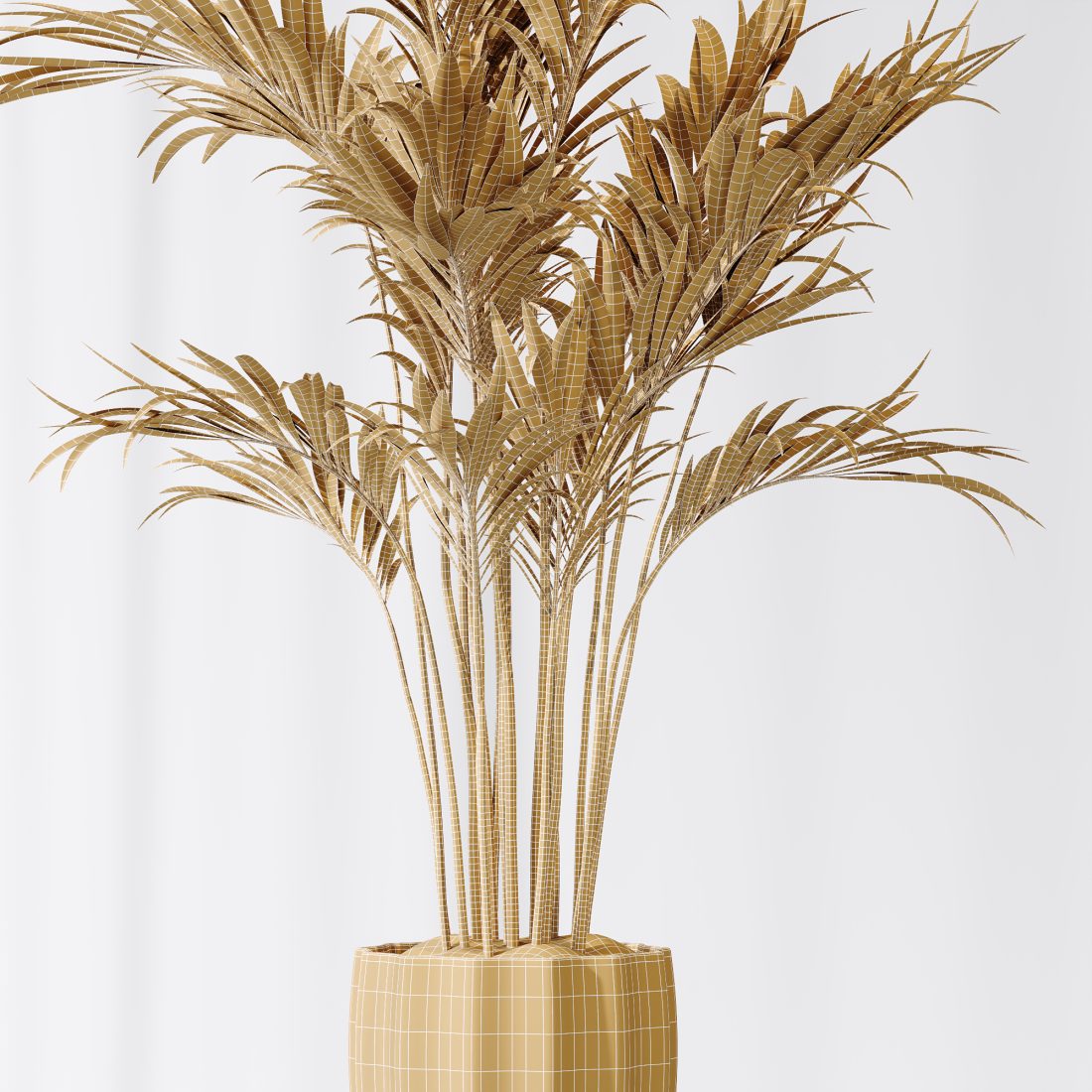 Plants Areca Majesty Cat Reed Palm Set01 - 3D Model for VRay, Corona
