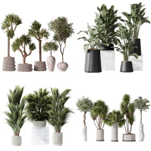 5 Different SETS of Plant Indoor. SET VOL110
