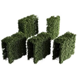 Modular Hedge Pack