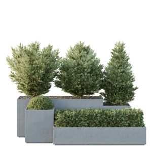 Hq Tree And Bush Garden Box Outdoor  Vol 27