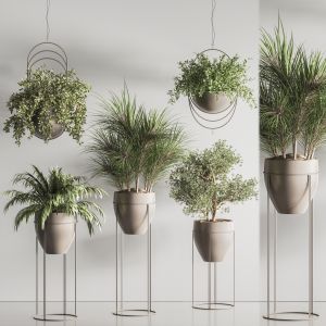 Indoor Plant Set 125