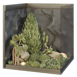 Hq Plants Indoor Set Box Glass01