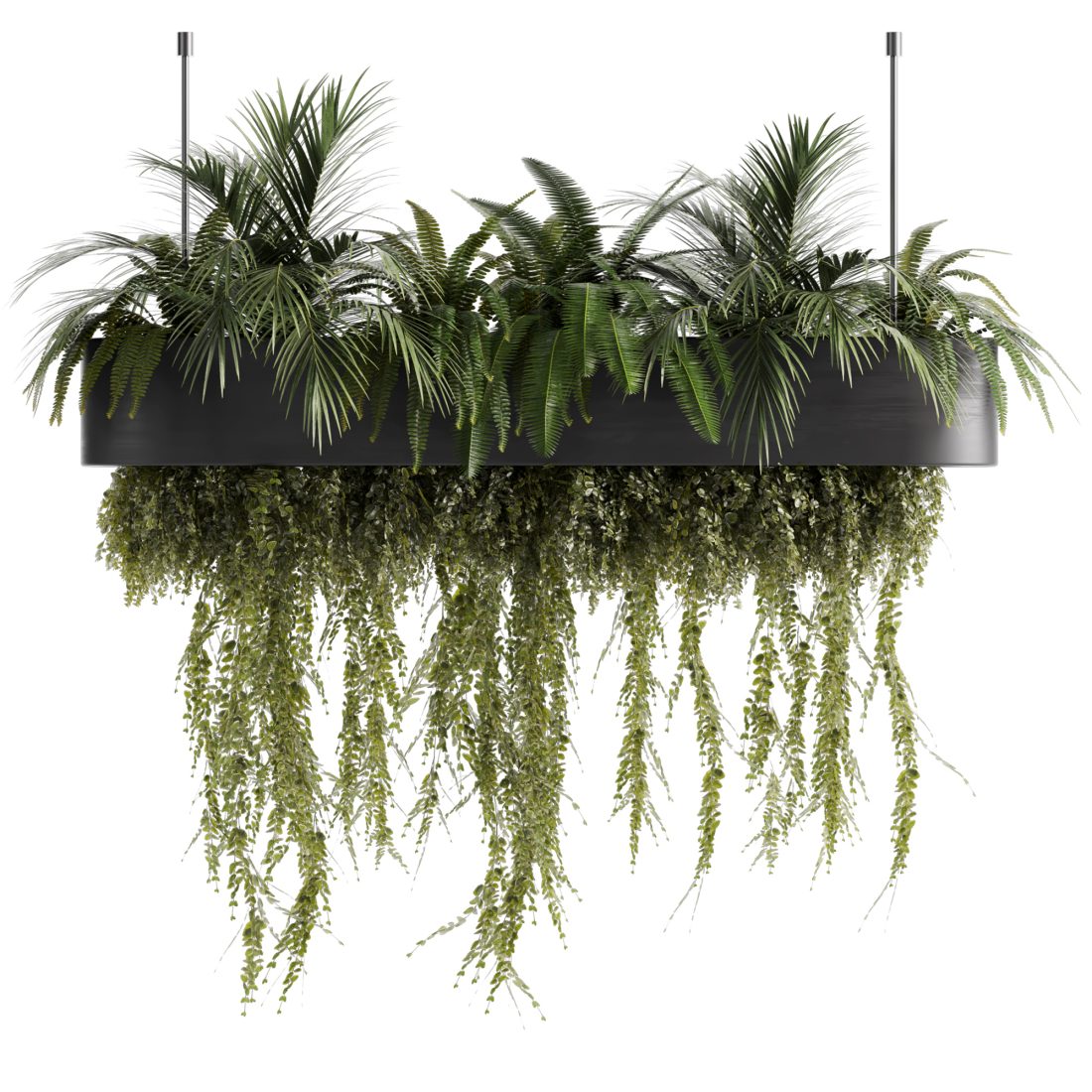 Indoorplants-hanging Plants Set-73 3D Model for VRay, Corona | CGMood