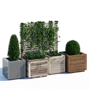 Modern planters