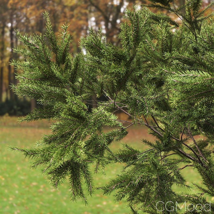 FstormRender - GeoPattern for foliage by Massimo Gnocchi
