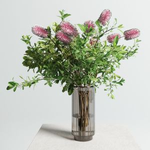 Banksia Spinulosa Vase Set