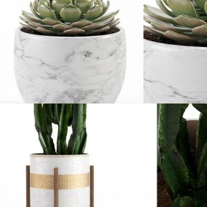 Decorative Vase_collection_001