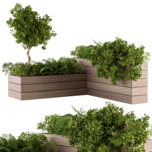 Outdoor Plants Wood Box - Set 44