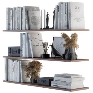 Decorative Set On Shelves White Book  Dried Plant