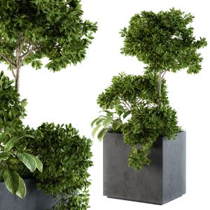 Outdoor Plants Concrete Box - Set 58