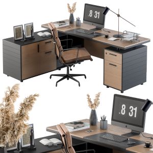 Office Furniture - Manager Set 06