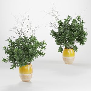 Plants In A Vase With Dry Branches. 2 Models