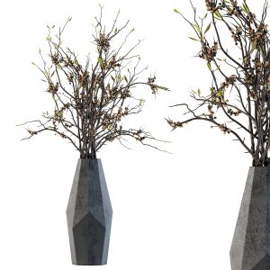 Dry Plants 30 - Branches In Concrete Black Vase