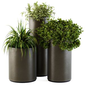 Outdoor Plants Metal Pot - Set 76