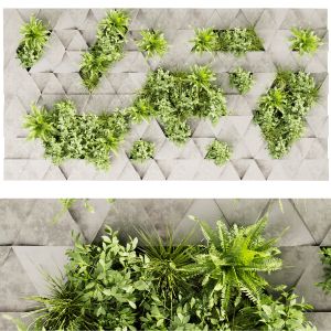 Collection Plant Vol 396 - Fitowall - Ertical