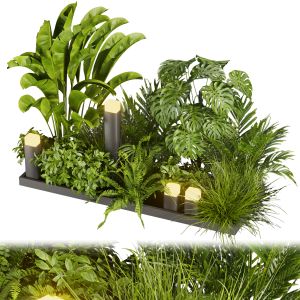 Collection Plant Vol 406 - Leaf - Outdoor - Garden
