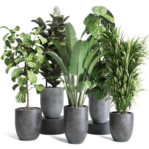 Collection Indoor Outdoor Plant 129 Dirty Concrete