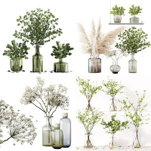 Collection Indoor Plant Vol 01 to Vol 04