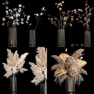 Set of bouquets of dried flowers pampas grass branches thorns