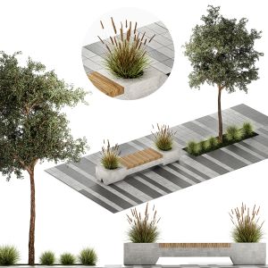 Tree And Bushes For The Urban Environment