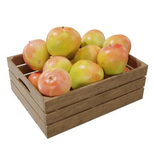 Bowen Special Mangoes Crates