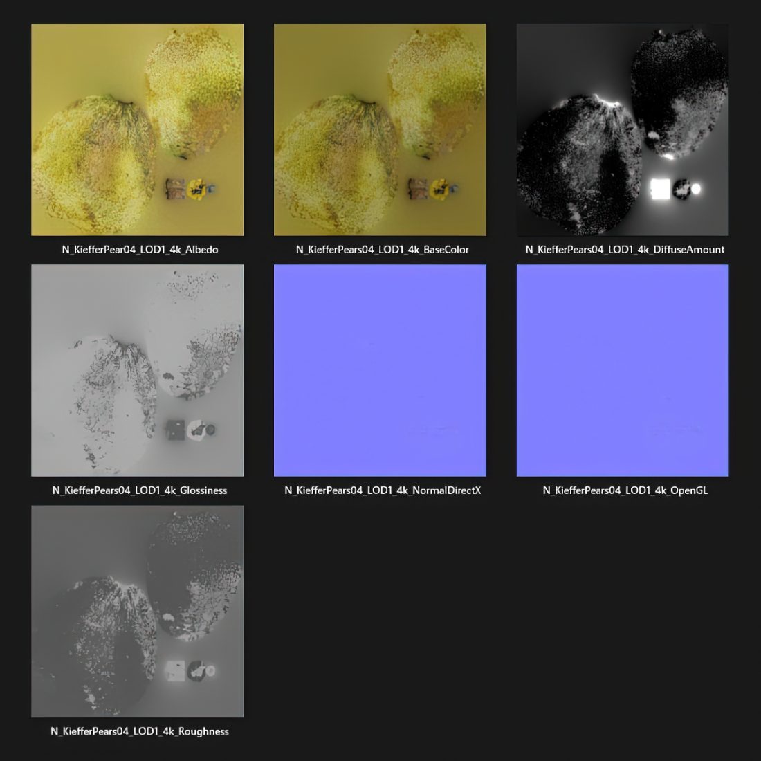 Kieffer Model Kieffer Pear 3D Model for VRay, Corona | CGMood