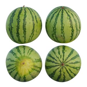 Watermelon 03
