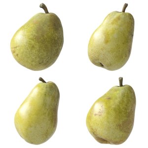 Kieffer Pears