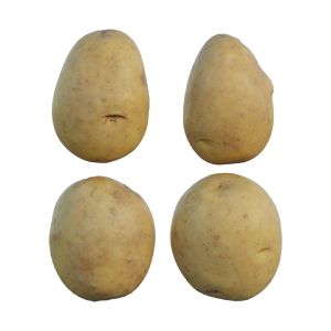 Potato 02