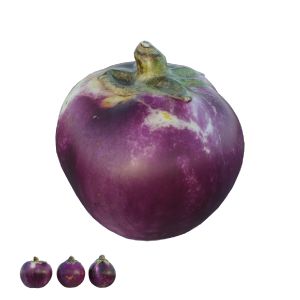 Eggplant 02