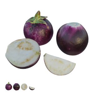 Eggplant 03
