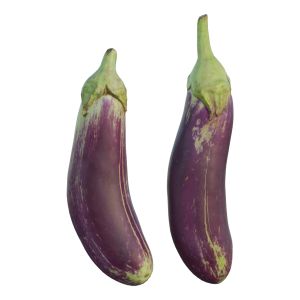 Eggplant 04