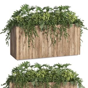 Box Of Plants-indoor Set 64