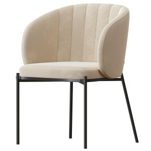 Shell Back Dining Chair