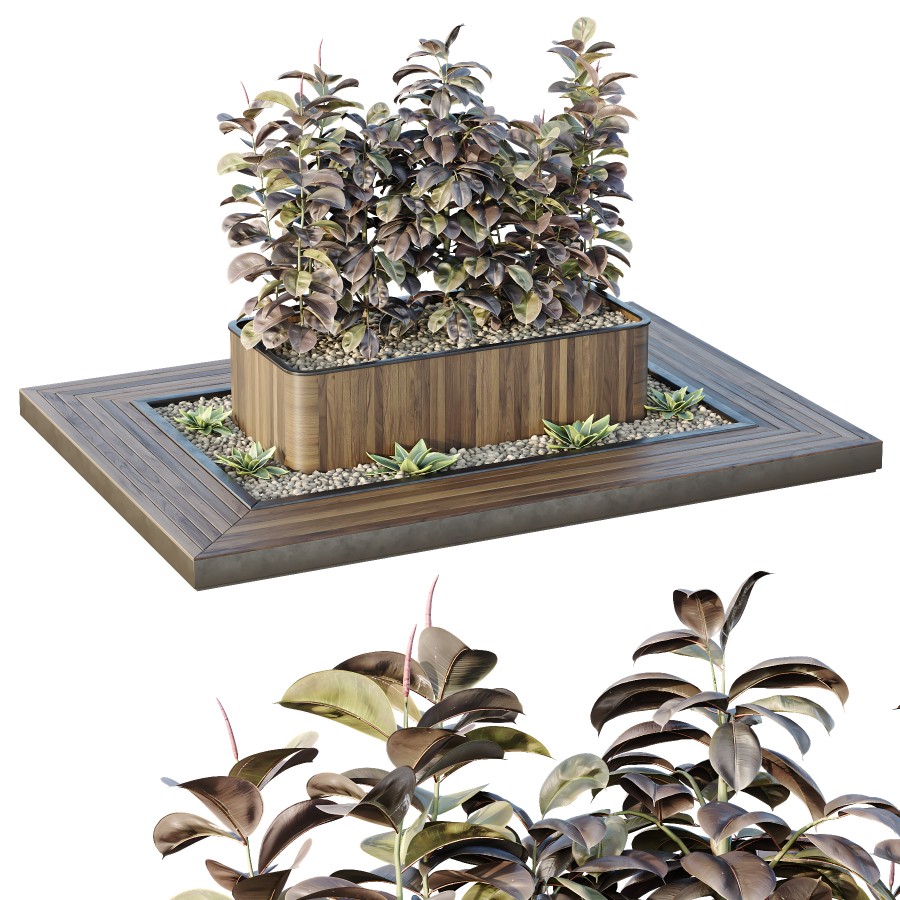 Hq Tree And Bush Garden Box Outdoor Vol 33 3D Model for VRay, Corona ...