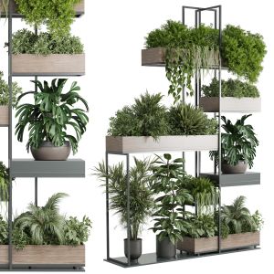 Standing Metal Shelf With A Set Of Plants In Woode